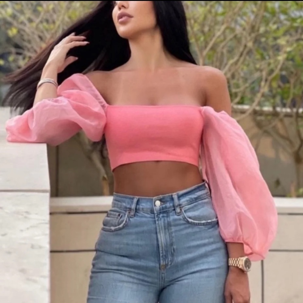 Zara Organza Top